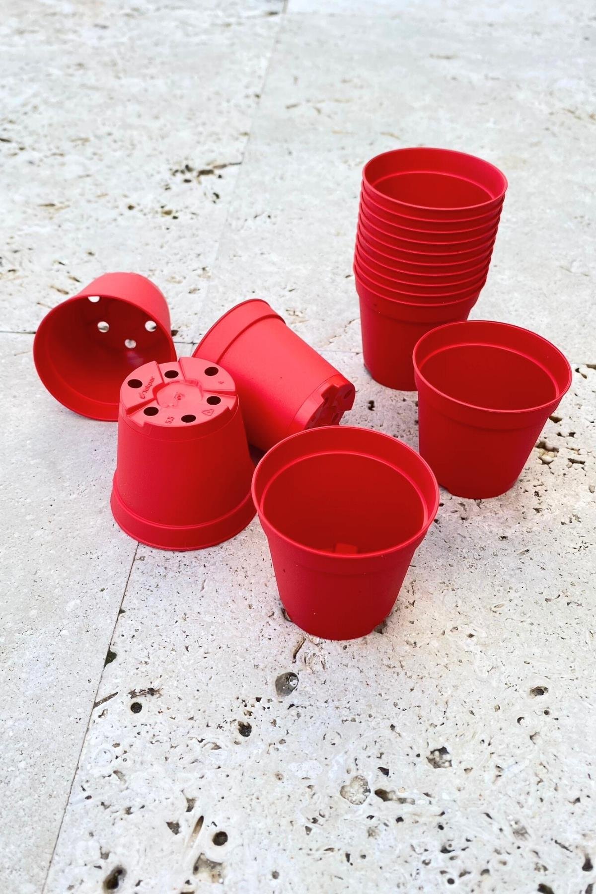 Kırmızı Renkli 5,5 Kaktüs Sukulent Plastik Üretim Saksısı 20li Set