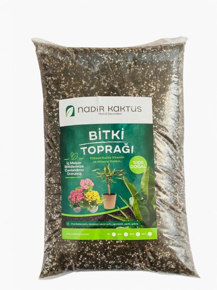 Özel Karışım İç Mekan Bitki Toprağı 