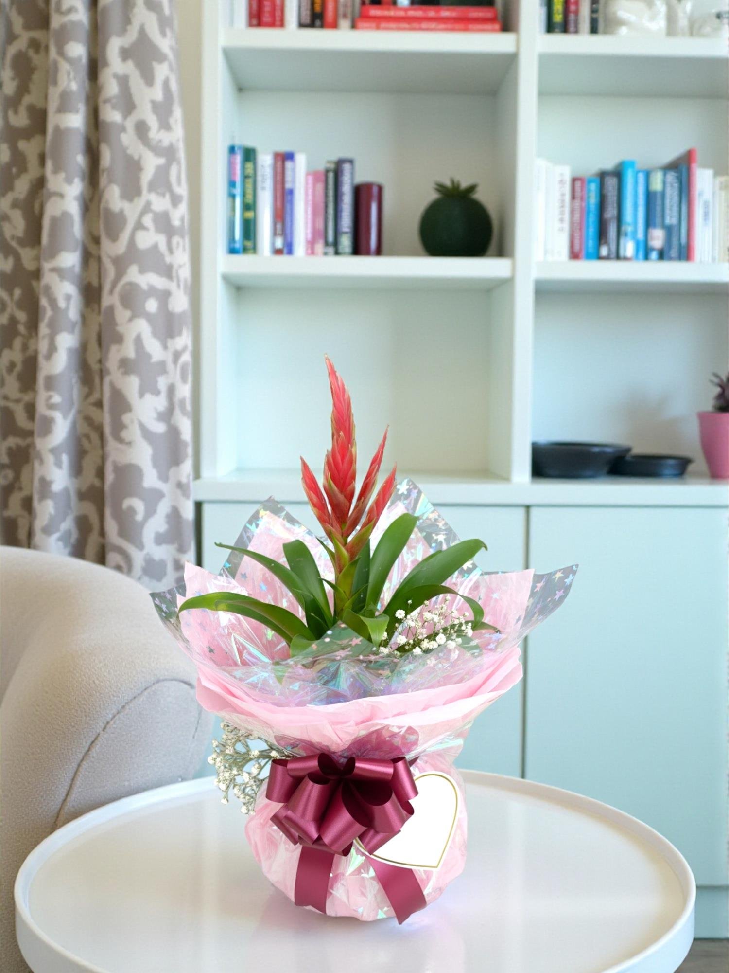 Pembe Alev Kılıcı (Vriesea): Modern Aşkın Heykelsi Zarafeti 🌸