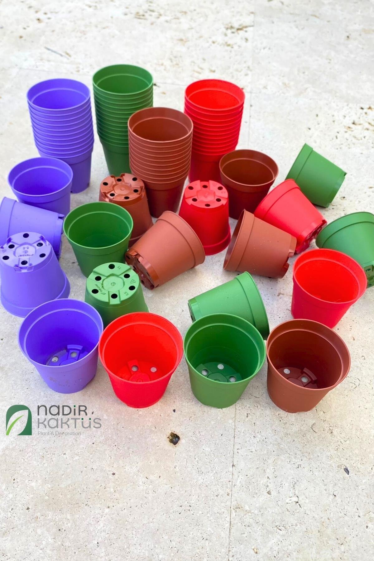 Renkli 5,5 Kaktüs Sukulent Plastik Üretim Saksısı 20 li Set