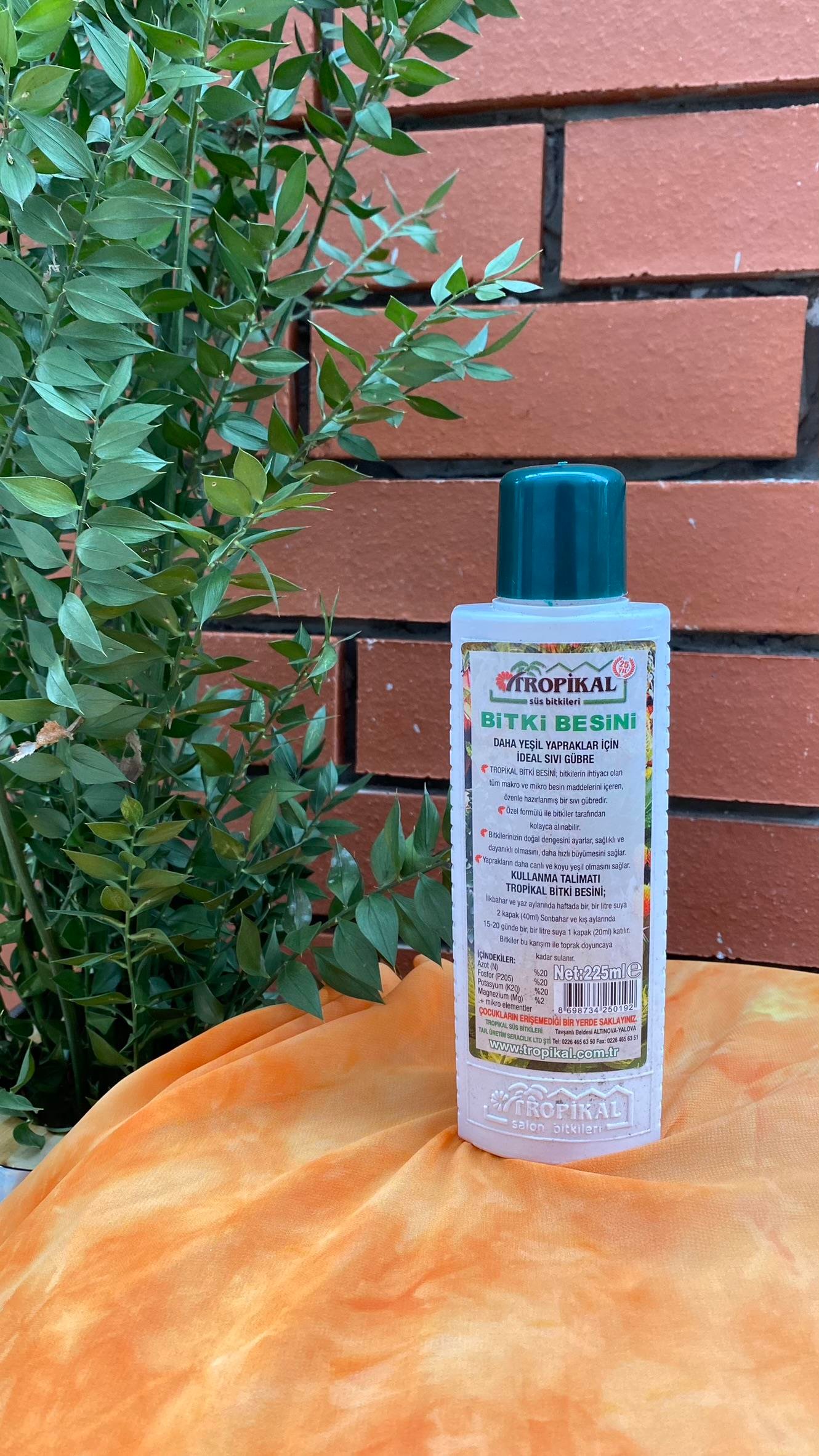 Tropikal Tüm Bitkiler İçin Genel Bitki Besini