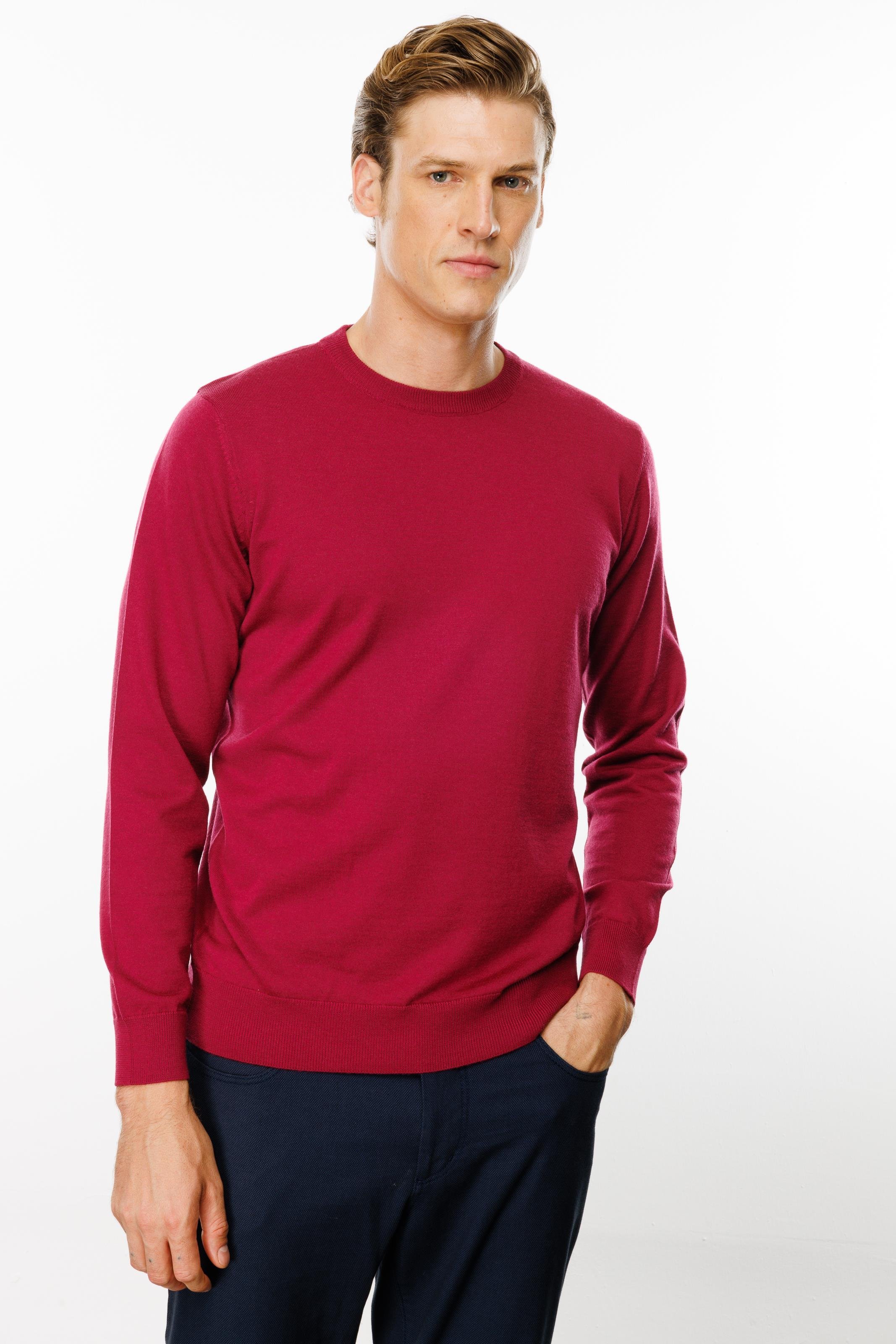 21603Erkek Basic Sıfır Yaka İnce Triko Kazak Sıklamen