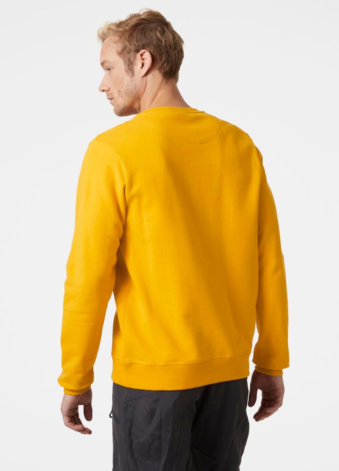 Helly Hansen HH Logo Crew Sweat Erkek Sweatshirt