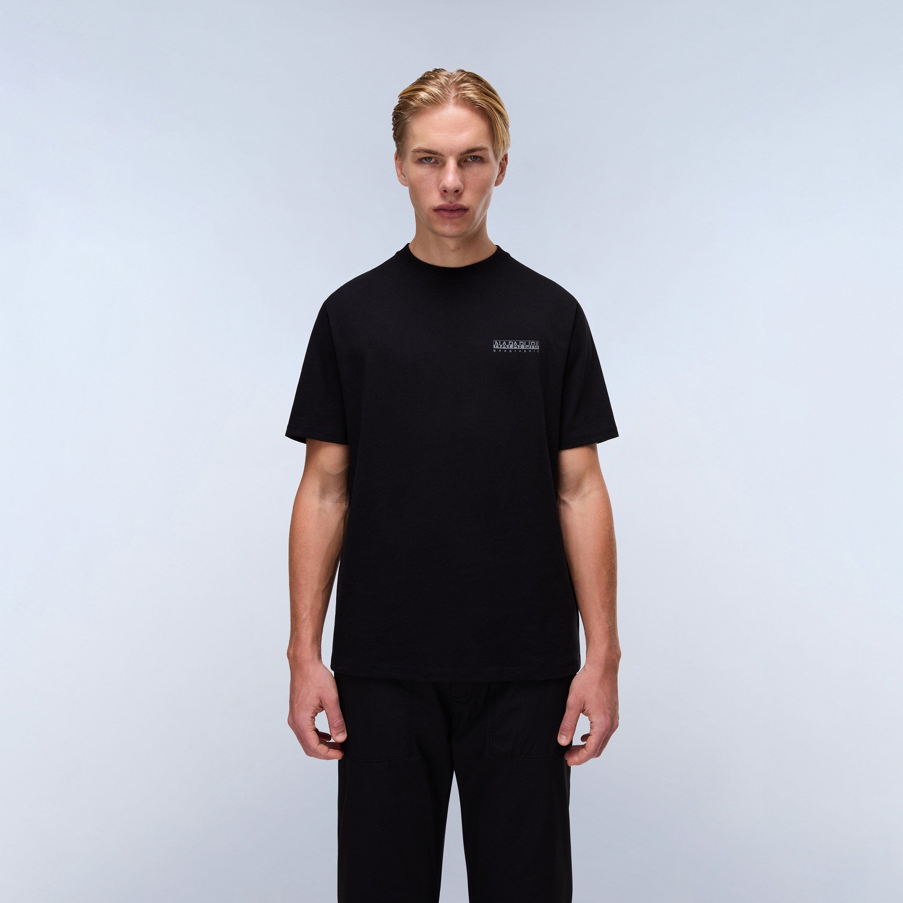 Napapijri S-Back Graphic Ss Erkek T-Shirt