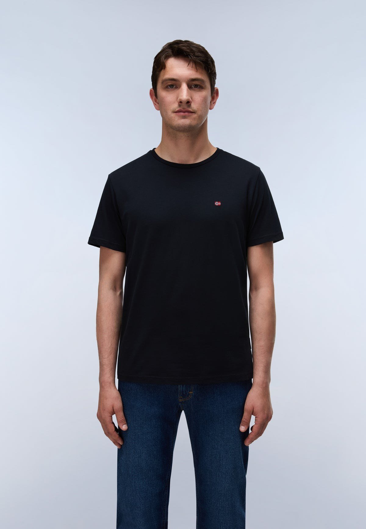 Napapijri Salis Ss Sum Erkek T-Shirt