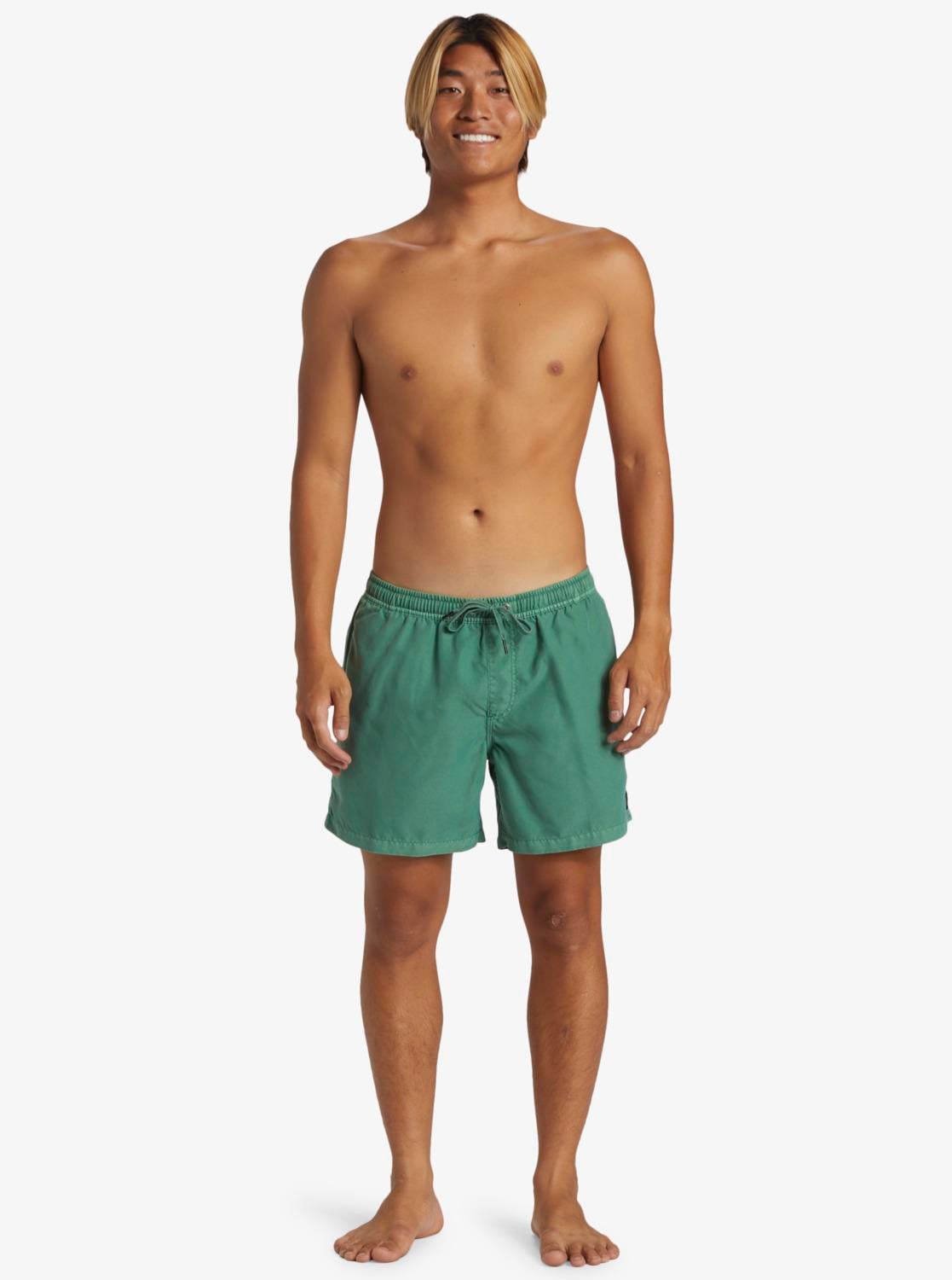 Quiksilver Everyday Surfwash Volley 15 Erkek Deniz Şortu