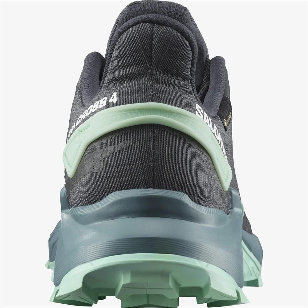 Salomon Alphacross 4 GTX Kadın Koşu Ayakkabısı