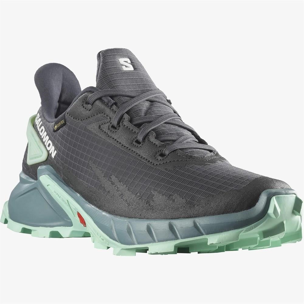 Salomon Alphacross 4 GTX Kadın Koşu Ayakkabısı