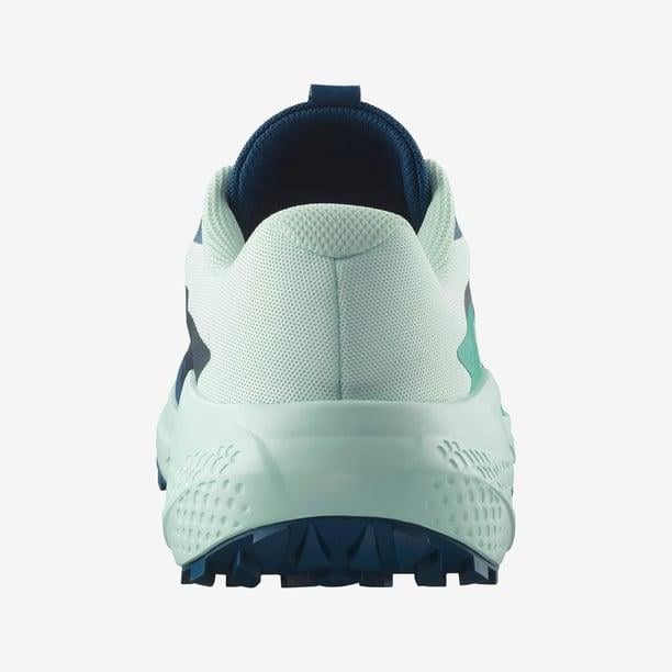 Salomon Alphaglide Erkek Koşu Ayakkabısı