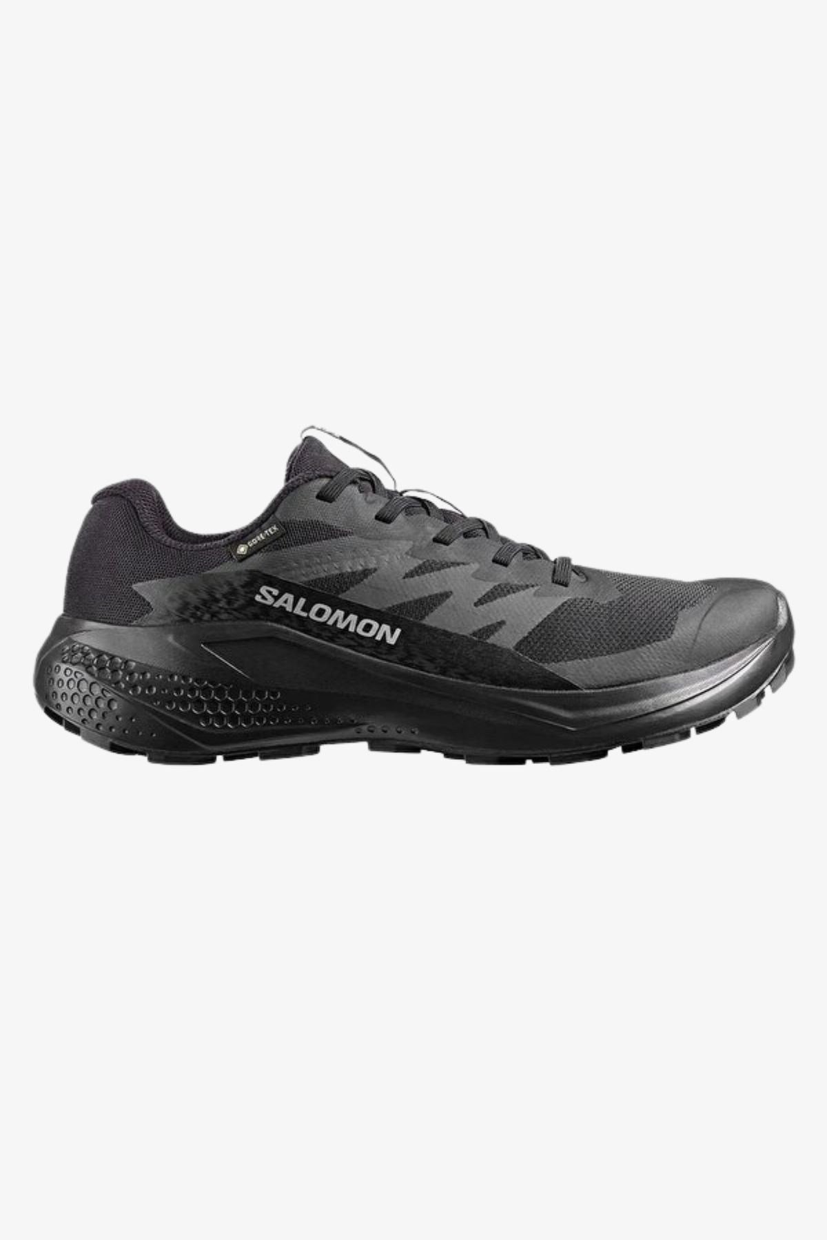 Salomon Alphaglide GTX W Kadın Koşu Ayakkabısı