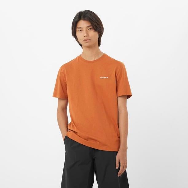 Salomon Salomon Logo Tee M Erkek T-Shirt