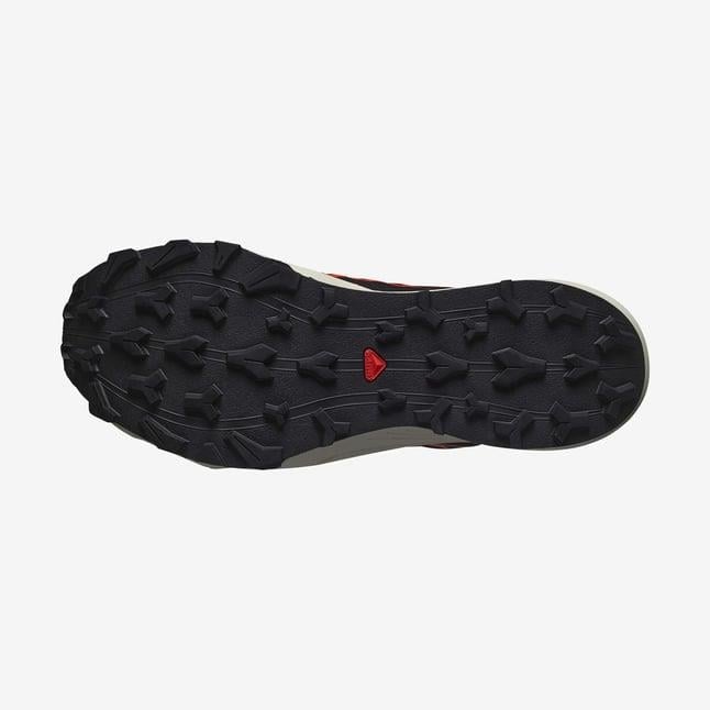 Salomon Thundercross Gtx Erkek Koşu Ayakkabısı