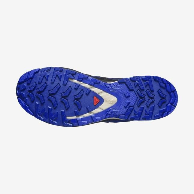 Salomon Xa Pro 3D V9 Gtx Erkek Outdoor Ayakkabı