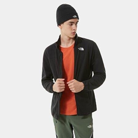 The North Face Erkek Polar 100 Glacier Fz