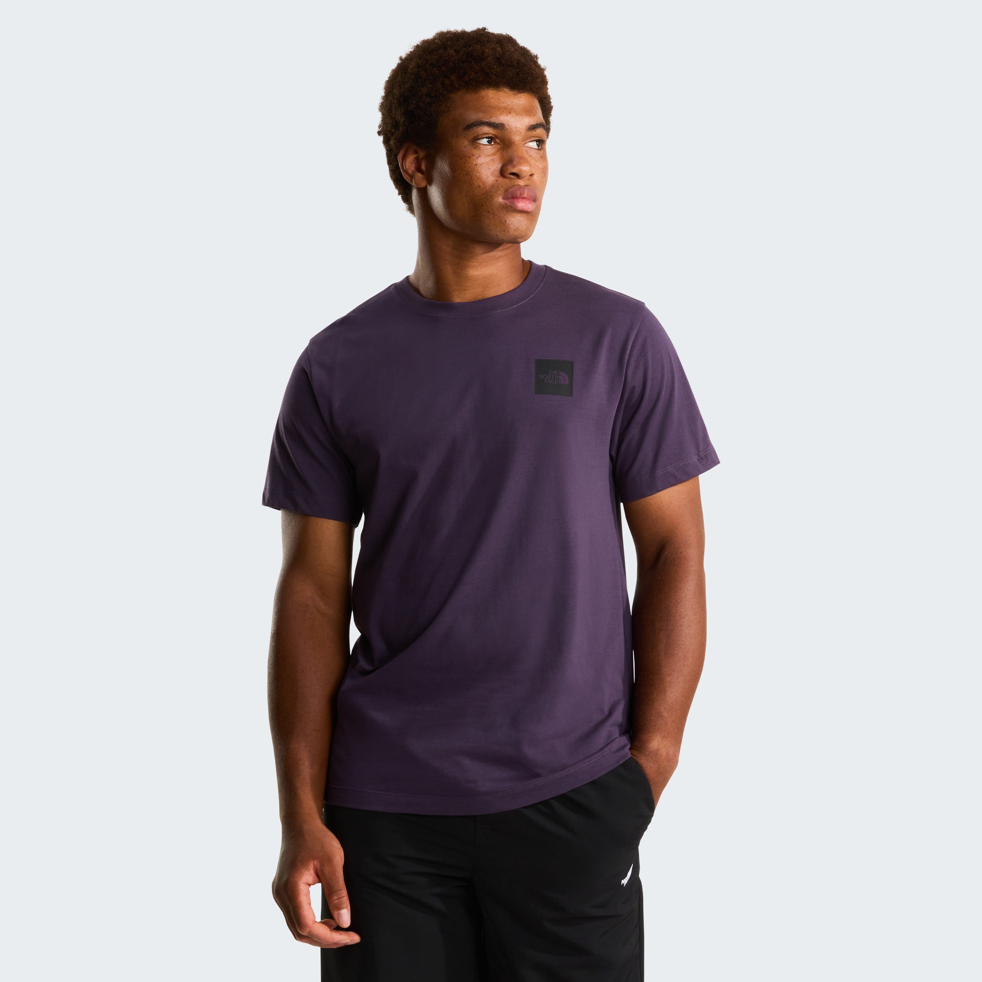 The North Face M Evolution Box Half Dome Regular Short Erkek T-Shirt