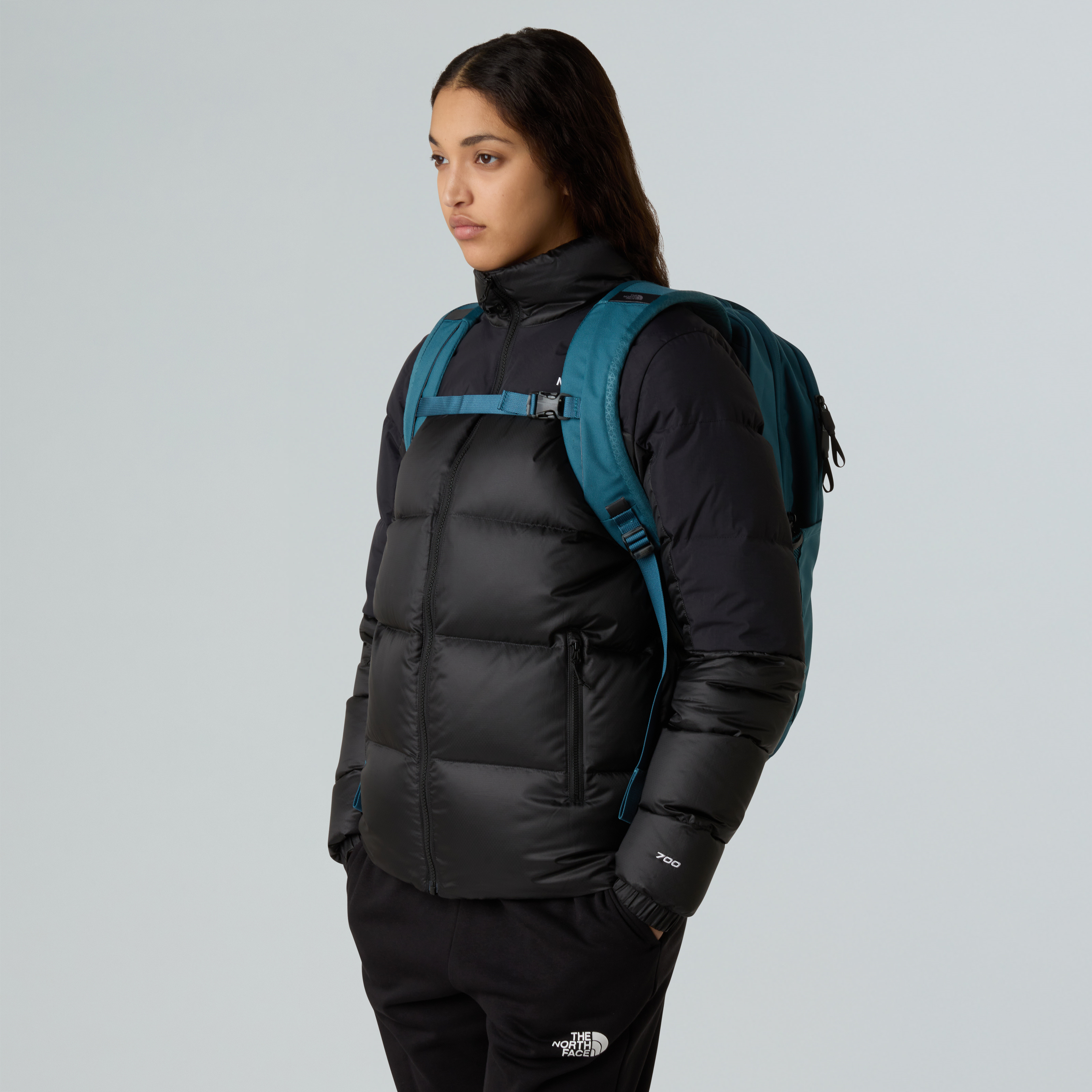 The North Face Vault Sırt Çantası