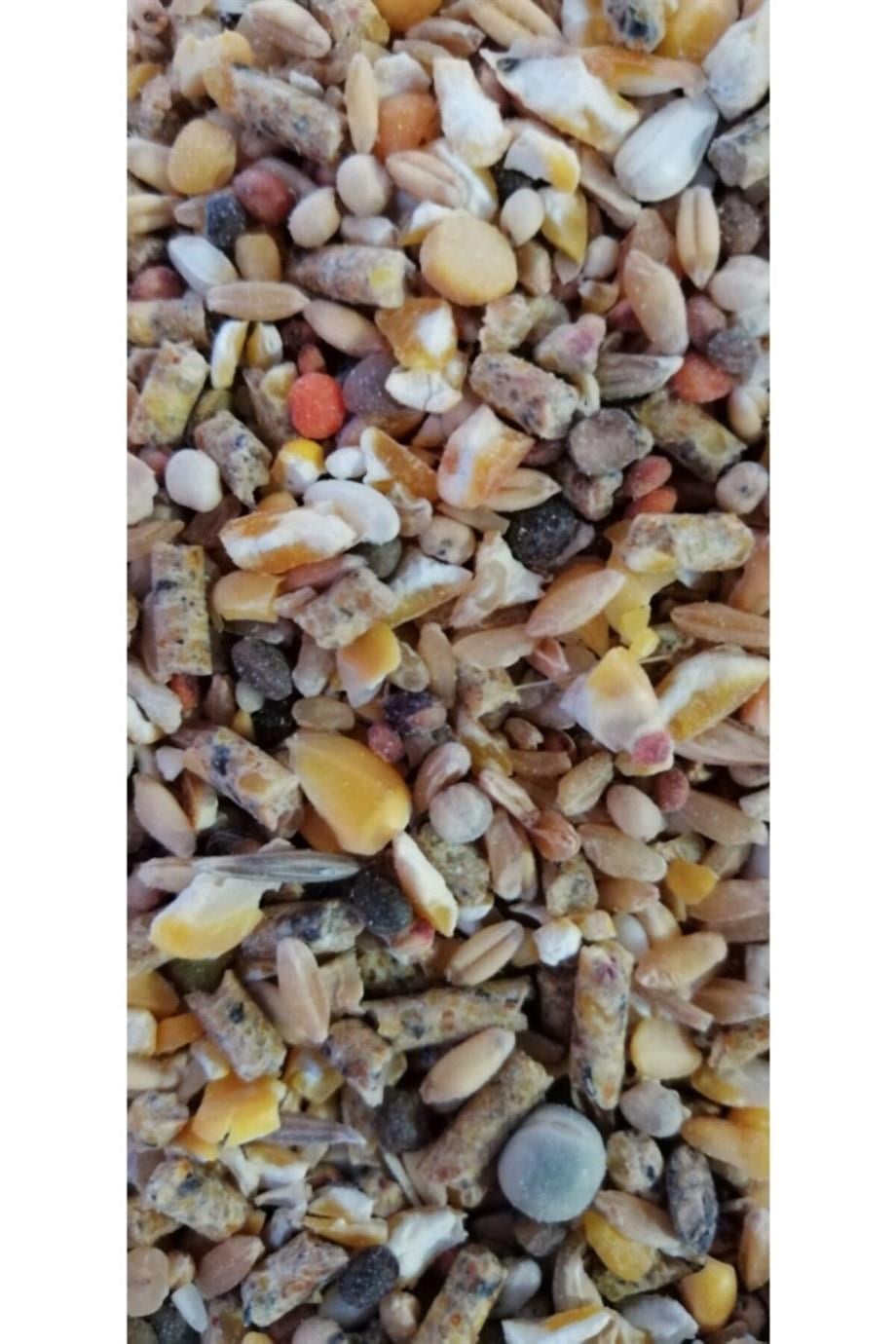 14 Çeşit Gezen Tavuk Karma Yemi 25Kg