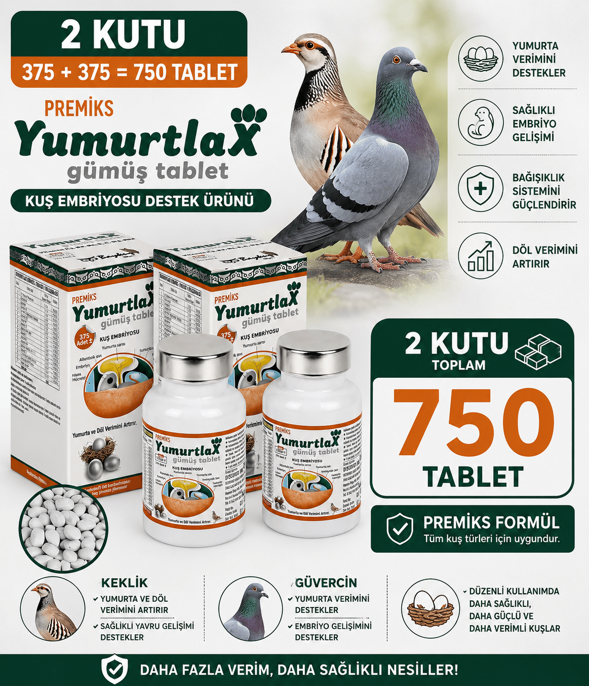 2 Kutu Yumurtlax Gümüş Tablet