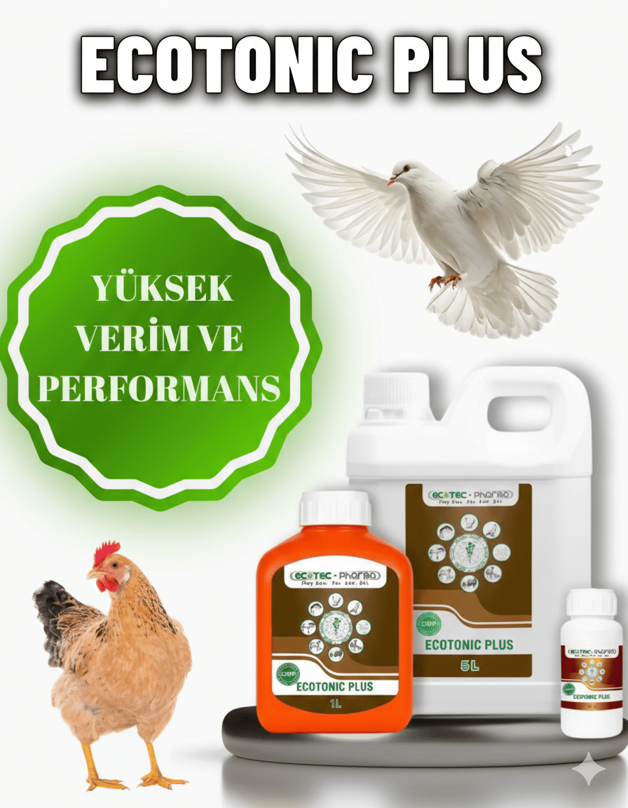 Ecotonic Plus 1 Litre | Kanatlı, Kedi ve Köpek İçin Vitamin & Amino Asit
