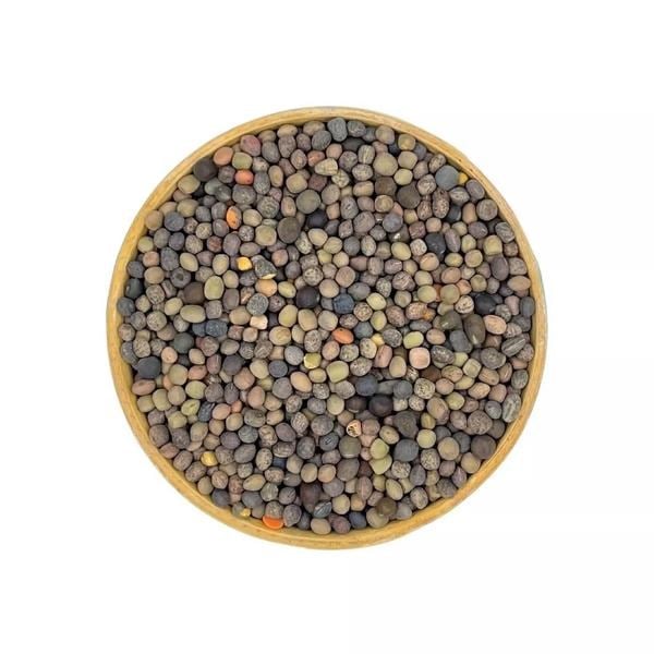 Fig Tohumu-5Kg