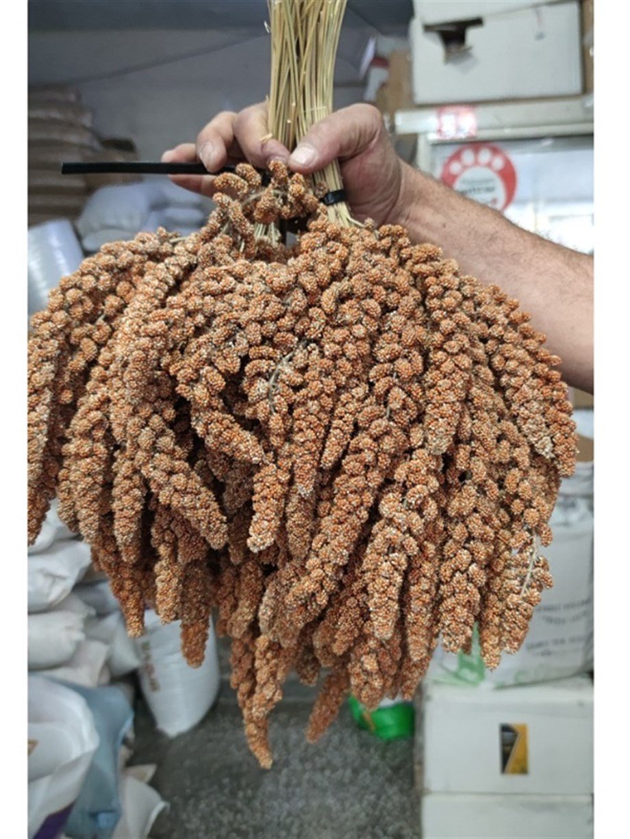 Kızıl Dal Darı 1Kg