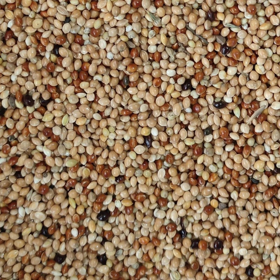 Muhabbet Kuşu Yemi-2 Kg
