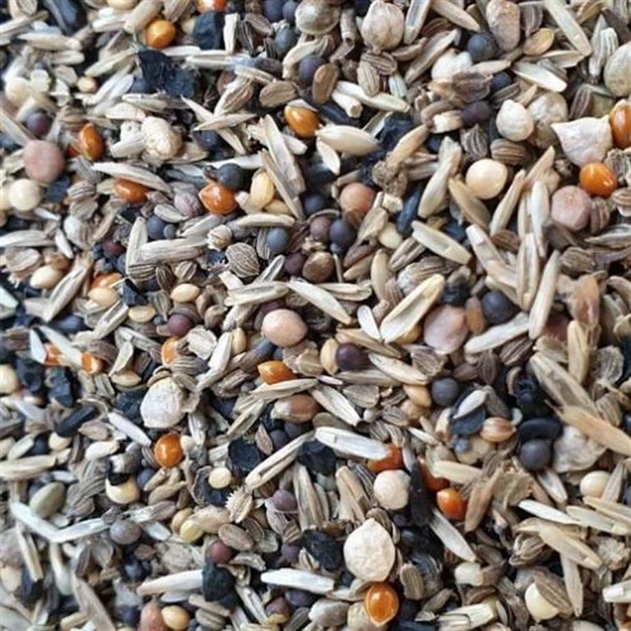 Sağlık Tohumu(SakaKanaryaPapagan) 1Kg
