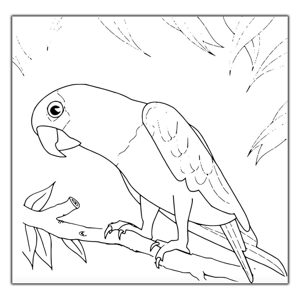 DALDAKİ MERAKLI PAPAĞAN HAYVAN BOYAMA TABLOSU KANVAS TABLO ürününe, BOYAMA TABLOLARI kategorisinden hemen satın alabilirsiniz.