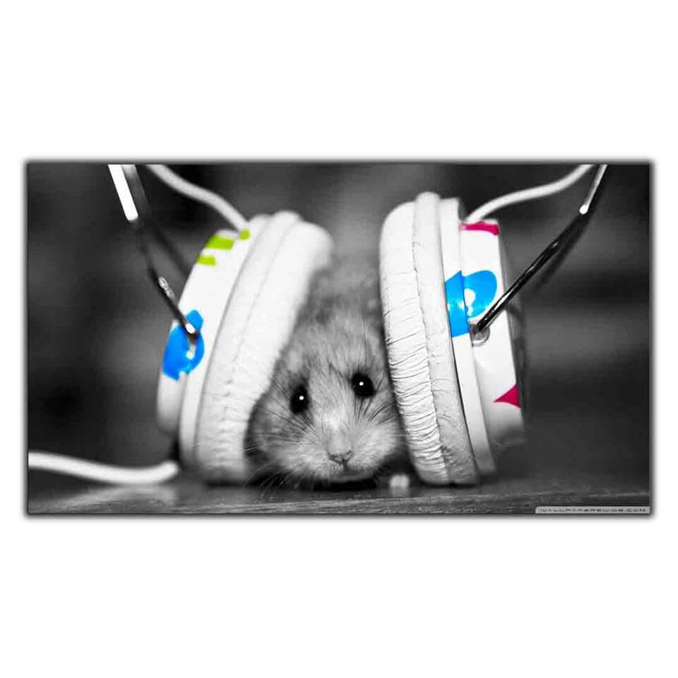 KULAKLIKLARIN ARASINA SIKIŞMIŞ HAMSTER KANVAS TABLO ürününe, KANVAS TABLOLAR kategorisinden hemen satın alabilirsiniz.