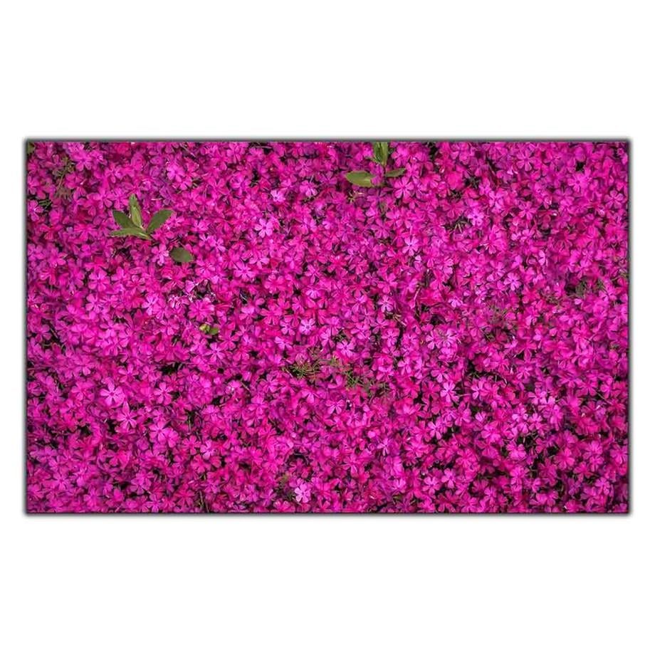 PEMBE ÇİÇEKLER KANVAS TABLO ürününe, KANVAS TABLOLAR kategorisinden hemen satın alabilirsiniz.