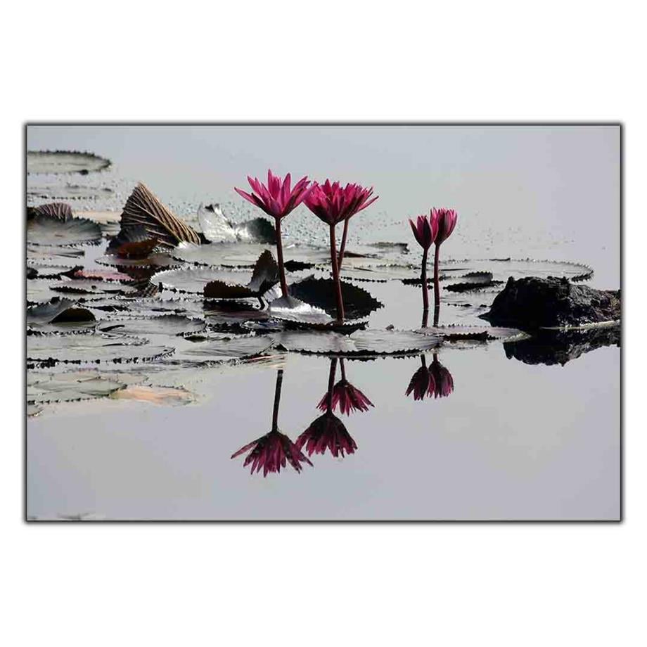 PEMBE LOTUS ÇİÇEĞİ KANVAS TABLO ürününe, KANVAS TABLOLAR kategorisinden hemen satın alabilirsiniz.