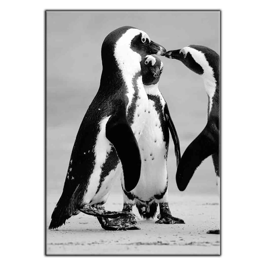 PENGUEN AİLESİ KANVAS TABLO ürününe, KANVAS TABLOLAR kategorisinden hemen satın alabilirsiniz.