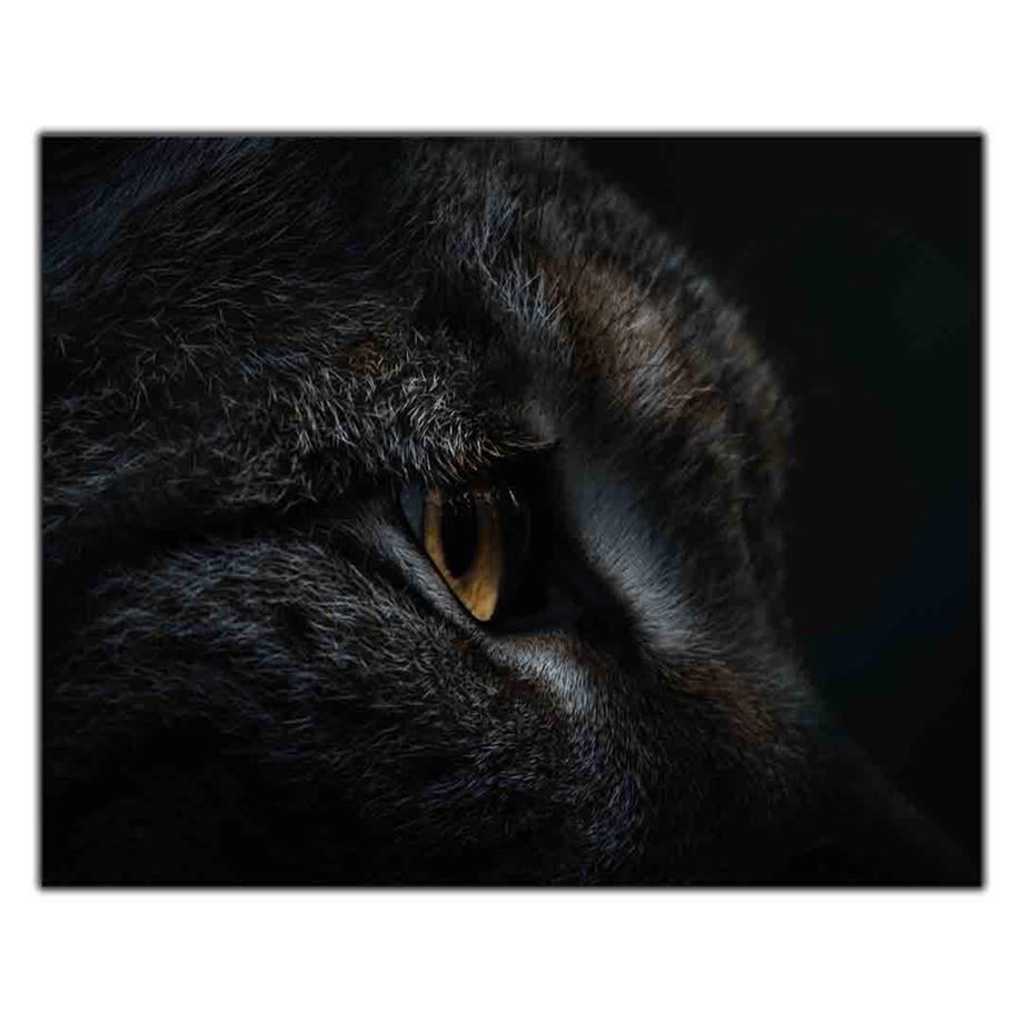 SARI GÖZLÜ BOMBAY KEDİ KANVAS TABLO ürününe, KANVAS TABLOLAR kategorisinden hemen satın alabilirsiniz.