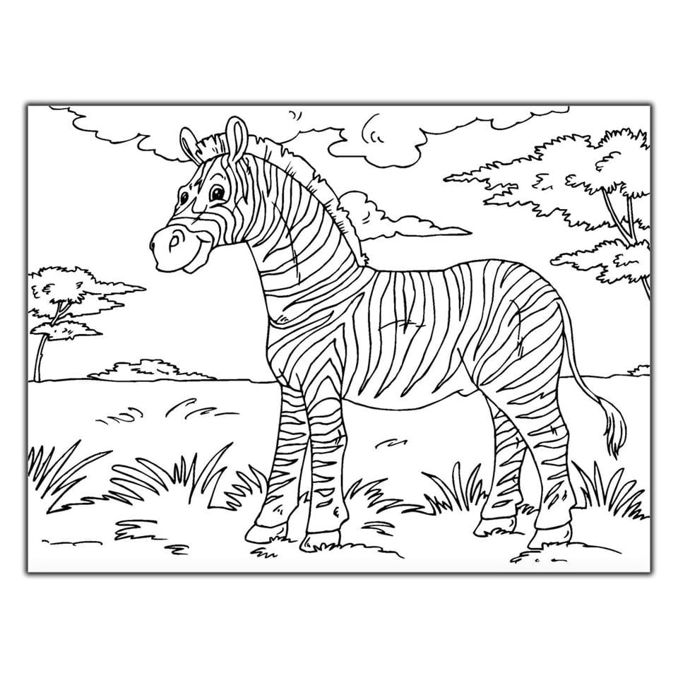 ZEBRA HAYVAN BOYAMA TABLOSU KANVAS TABLO ürününe, BOYAMA TABLOLARI kategorisinden hemen satın alabilirsiniz.