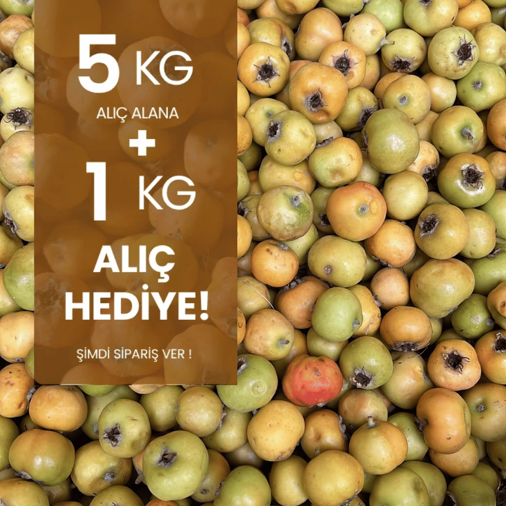  5 kg Alıç Meyvesi Alana 1 kg HediyeMeyve Sebze