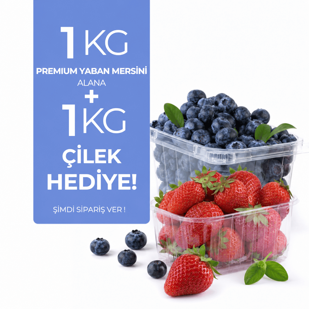 1 kg Premium Yaban Mersini Alana 1 Kg Çilek HediyeYaban Mersini ve Orman Meyveleri