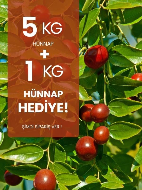 5 kg Hünnap (Aşısız) alana 1 kg Hediye