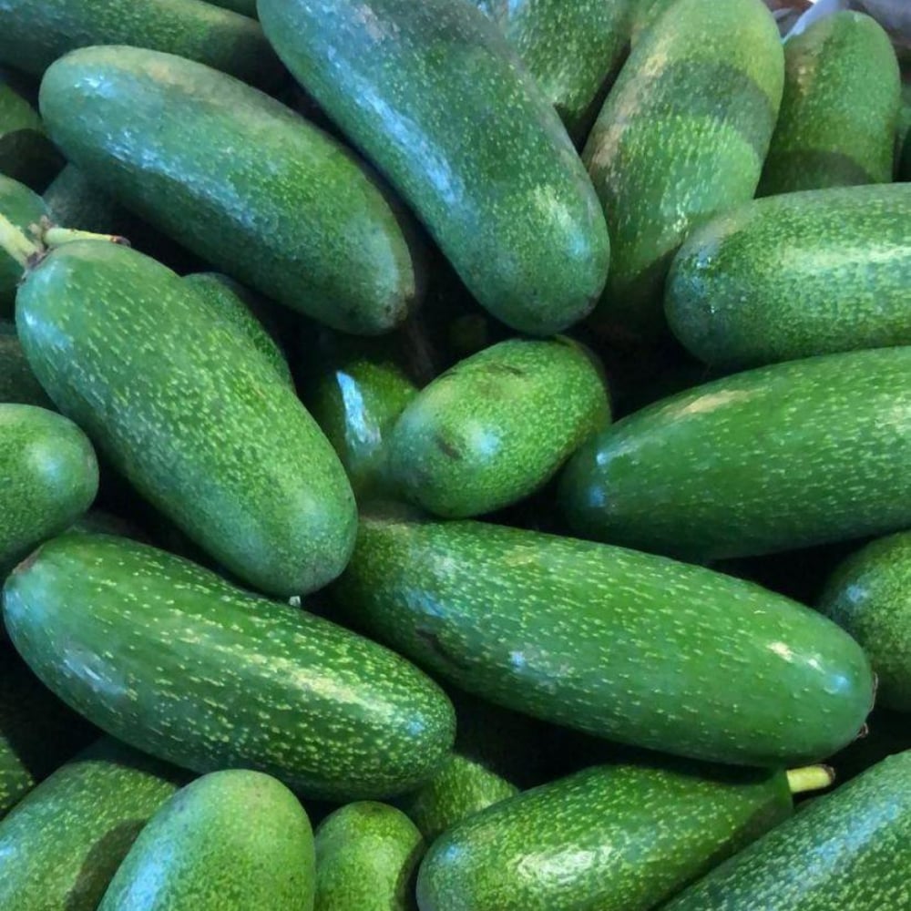 Bebek Avokado 