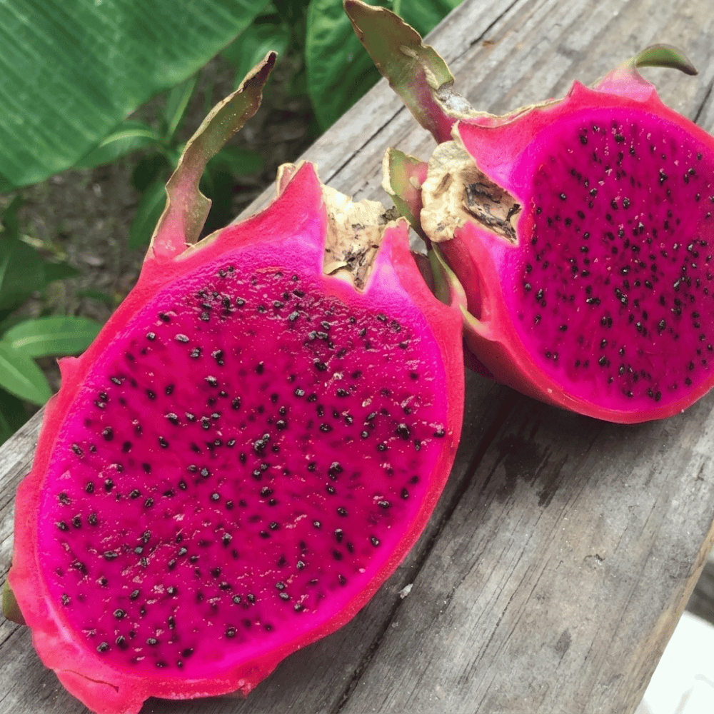 Ejder Meyvesi (Pitahaya) 350-400 GRTropik Meyveler