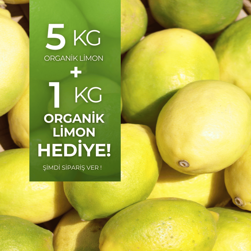 Organik Limon 5 kg Alana 1 kg HediyeMevsim Meyveleri