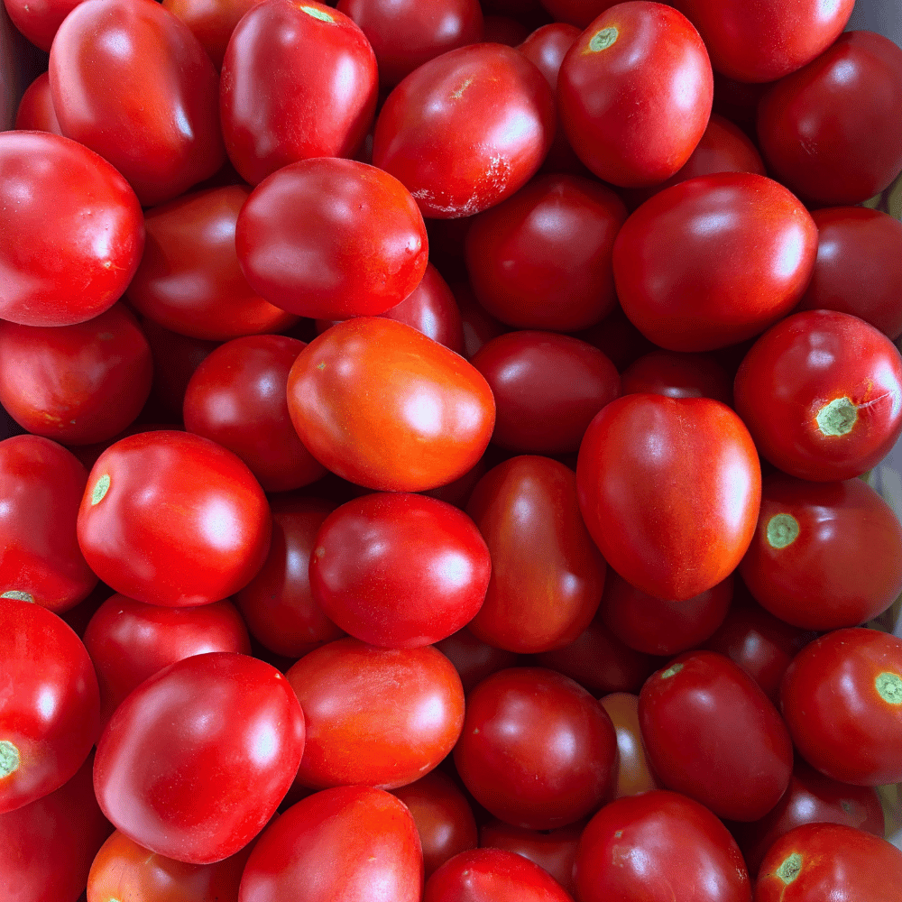 Organik Rio (Salçalık) Domates 10 Kg (Sadece Bursa Teslim)Sebzeler ve Yeşillikler