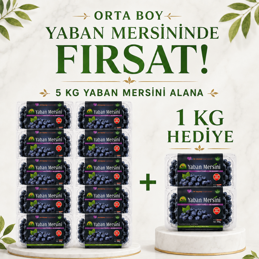 Orta Boy Yaban Mersini 5 KG Alana 1 KG HEDİYEYaban Mersini ve Orman Meyveleri