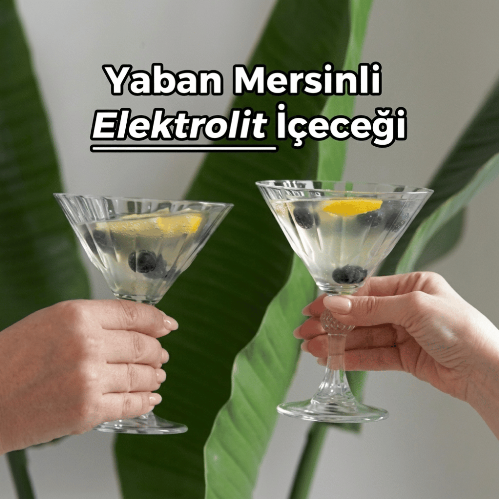 Taze Tarif Yaban Mersinli Elektrolit İçeceğiTaze Tarifler