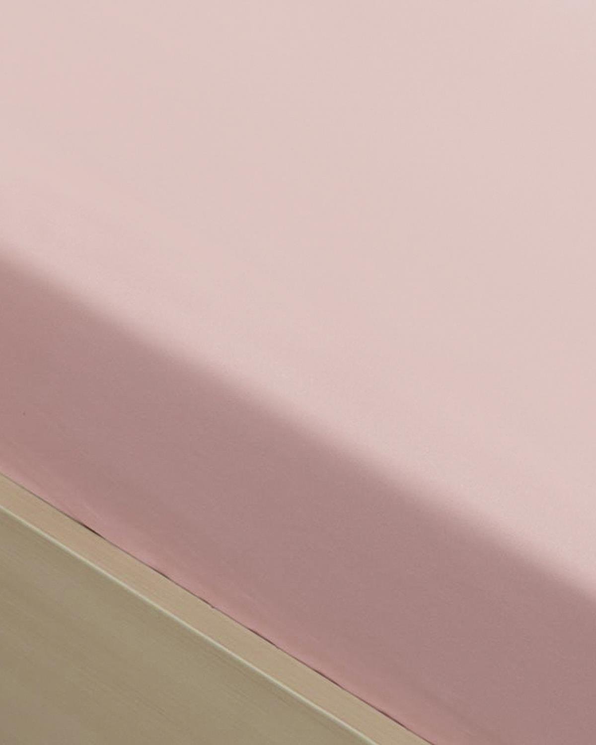 Cearșaf, pat dublu, Plain, bumbac, 160x240 cm, roze