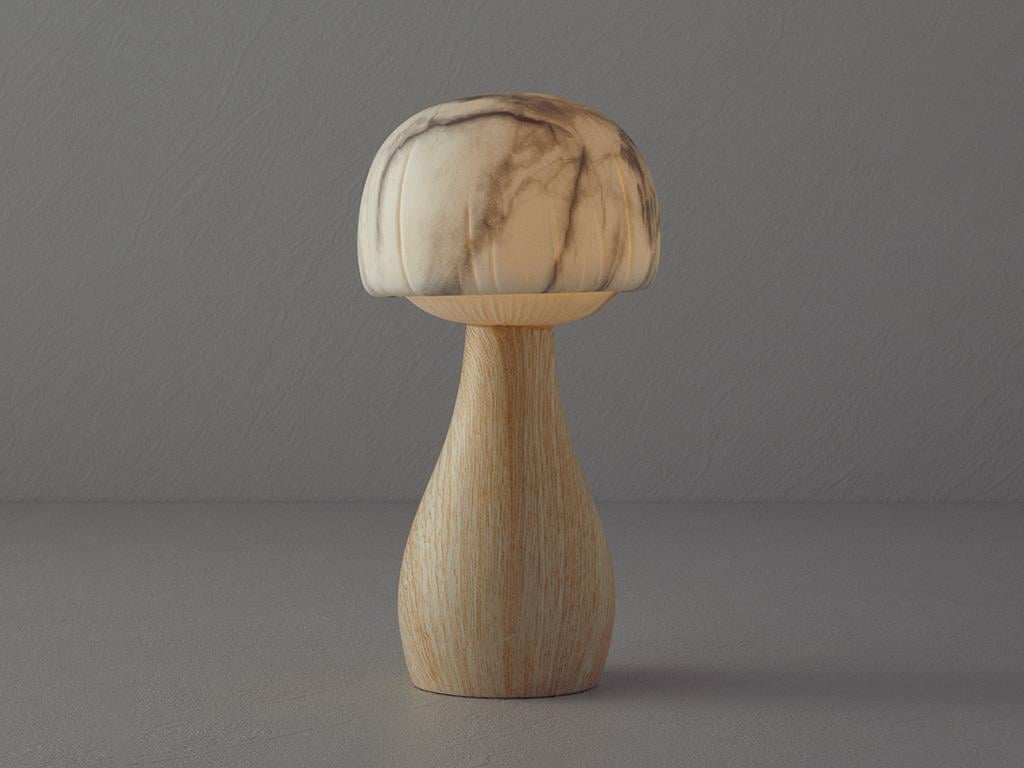 Mushroom With Led Decorative Lighting Natural.