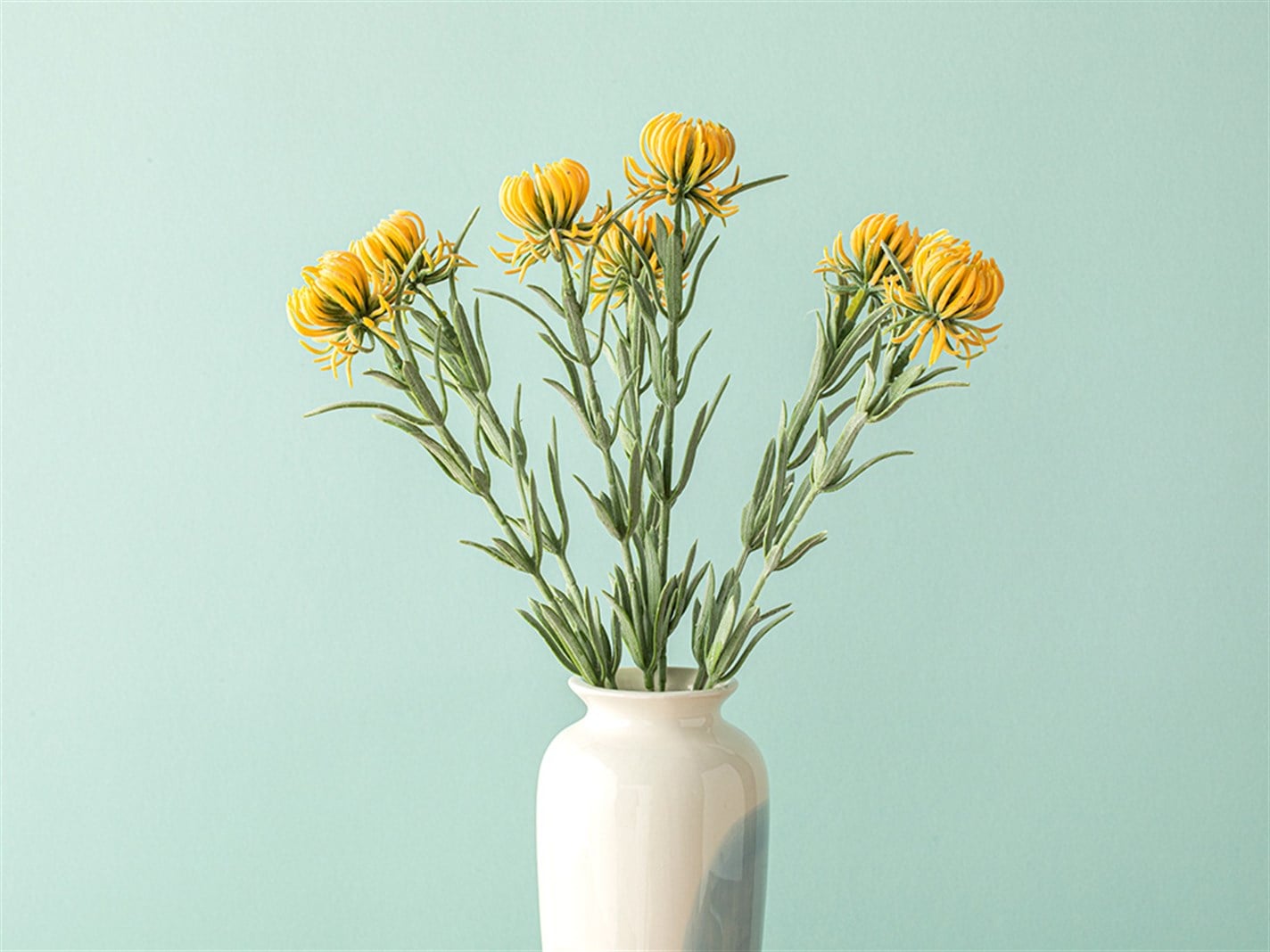 Daisy Dream #  35 cm Galben