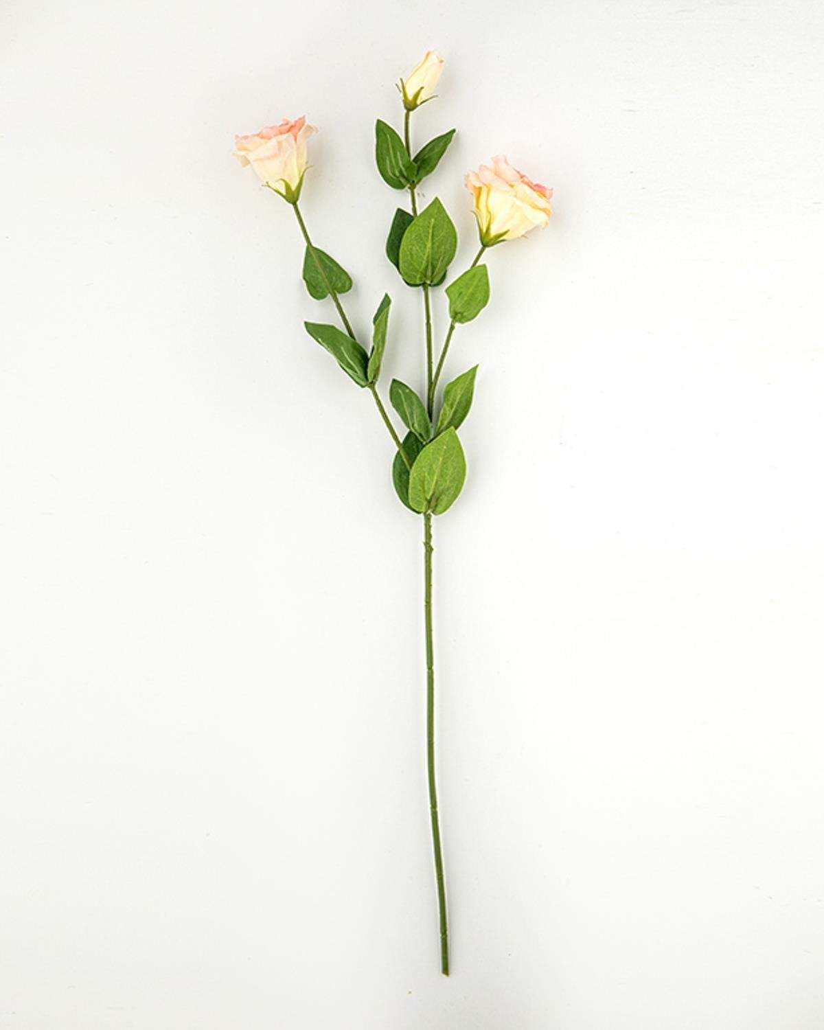 Deluxe Roses Floare Art. Cu O Singură Ram. 72 cm Șampanie