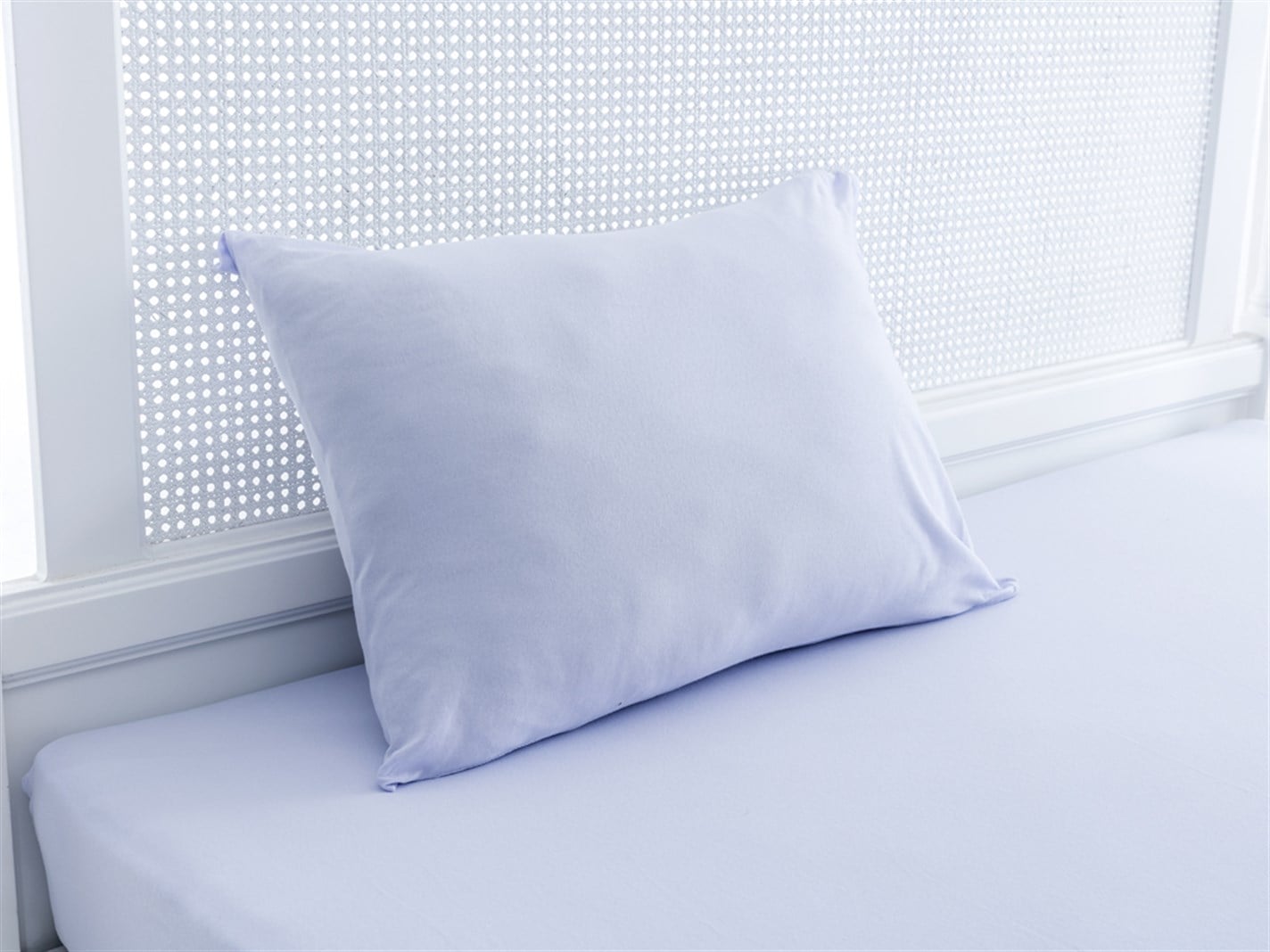 drept Vopsit simplu Pentru o persoana 100x200 cm CELADONNEW