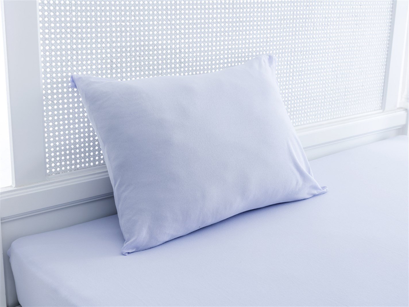 drept Vopsit simplu Pentru o persoana 100x200 cm CELADONNEW