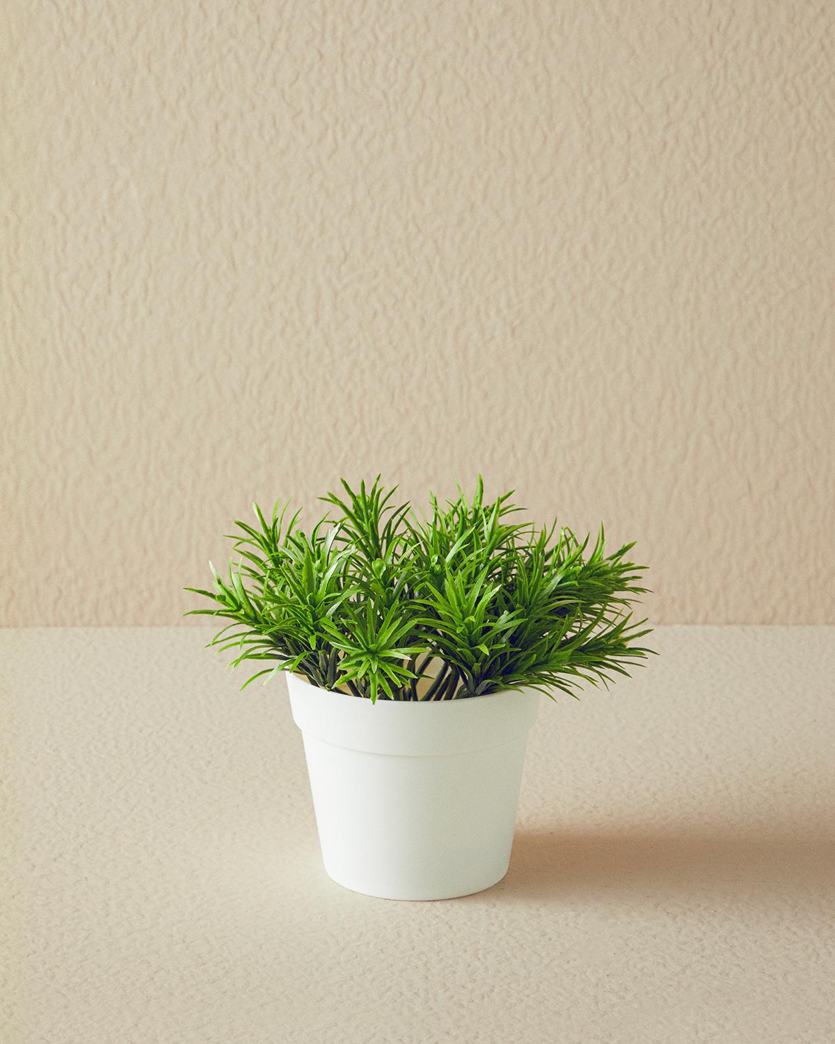Leaves Artificial Flower with Vase 13x13x13 cm White